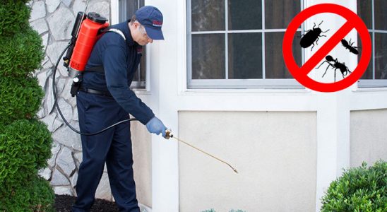 İliç Dezenfeksiyon böcek ilaçlama ve haşere kontrolü — ilaclama-tr.com